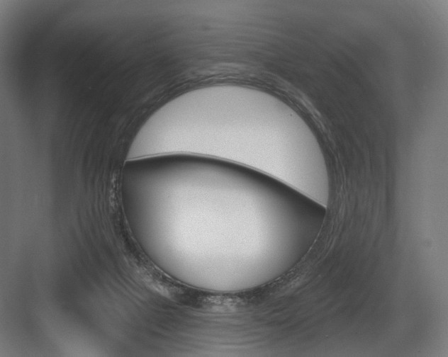 X0000083990073200702160741