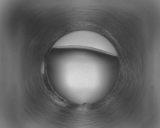 X0000083990076200702160741