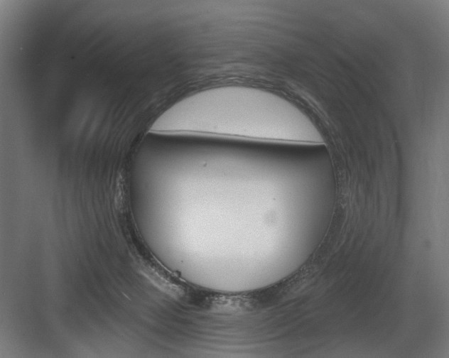 X0000083990077200702160741