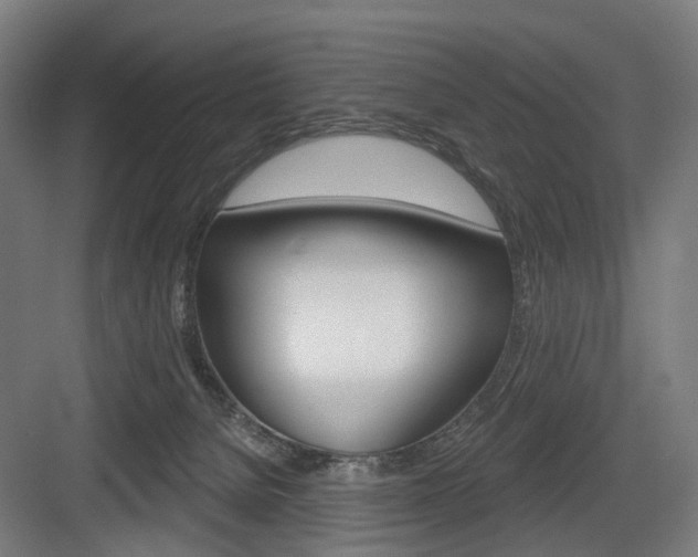 X0000083990080200702160741
