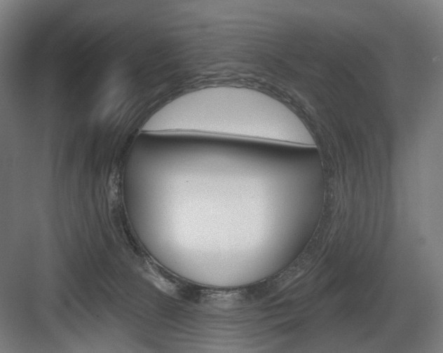 X0000083990081200702160741