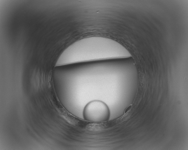 X0000083990082200702160742