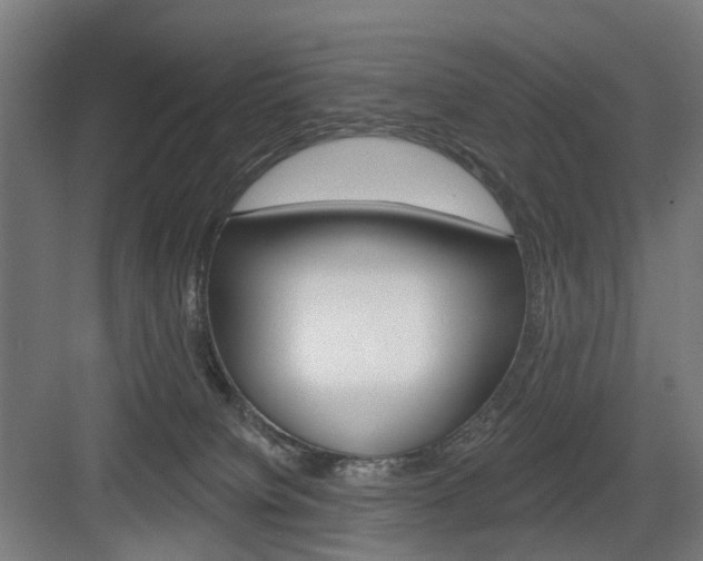 X0000083990084200702160742