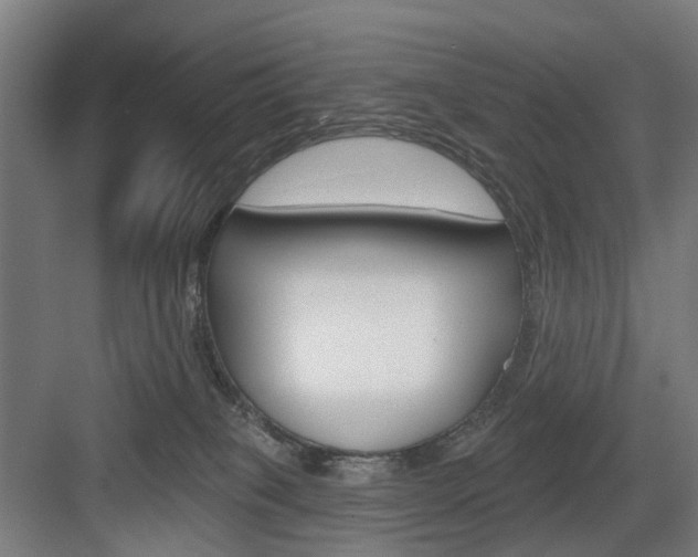 X0000083990085200702160742