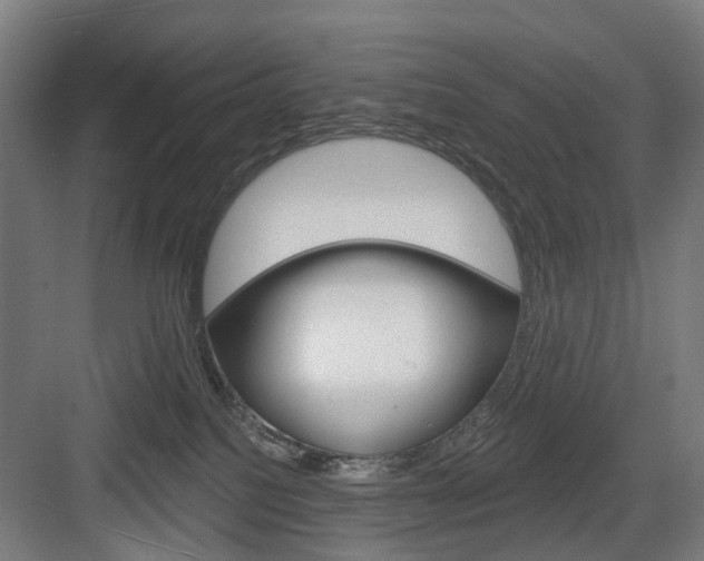 X0000083990088200702160742