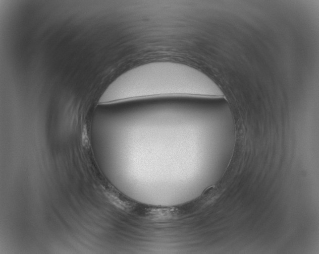 X0000083990089200702160742