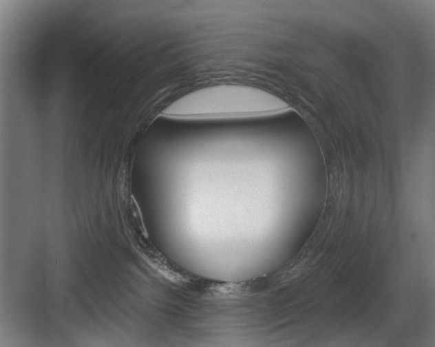 X0000083990092200702160742