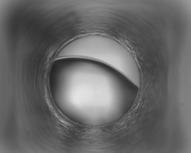 X0000083990097200702160741