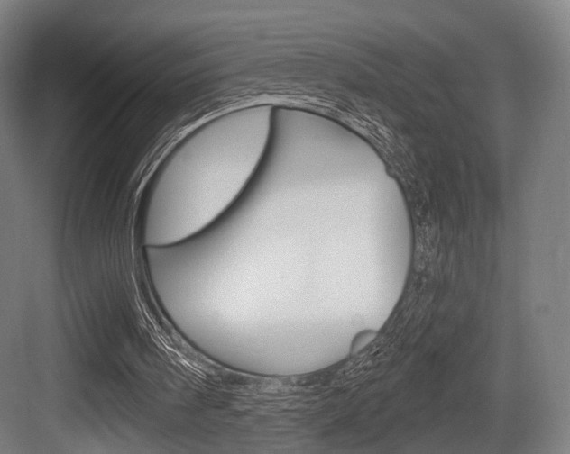 X0000083990098200702160741