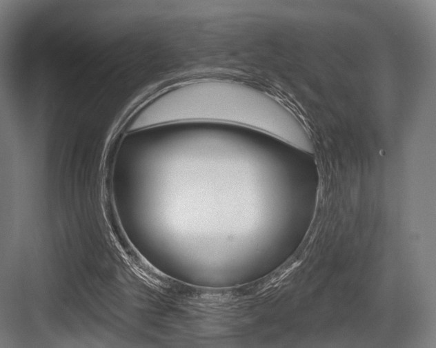 X0000083990101200702160741