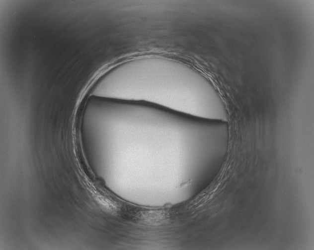 X0000083990102200702160741