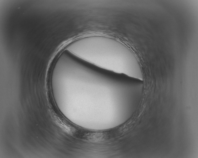X0000083990104200702160741