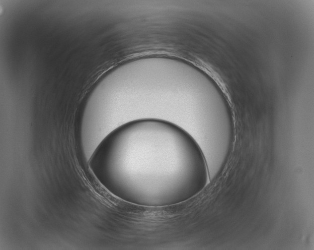 X0000083990105200702160741