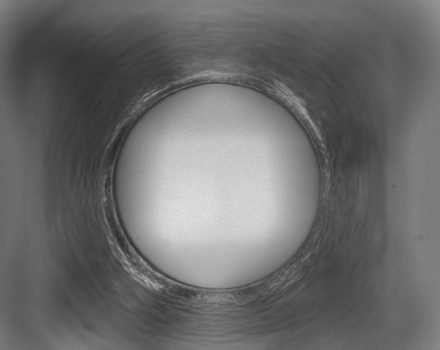 X0000083990106200702160741