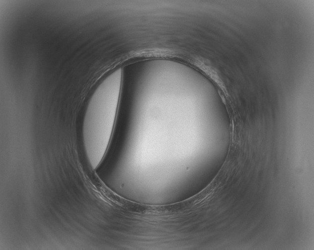 X0000083990109200702160741