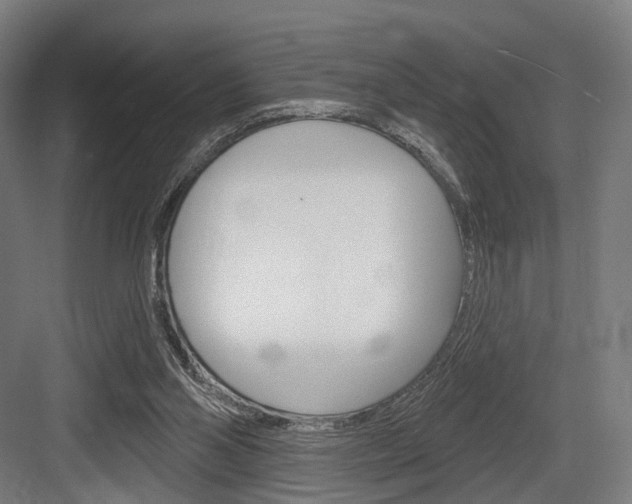 X0000083990110200702160741