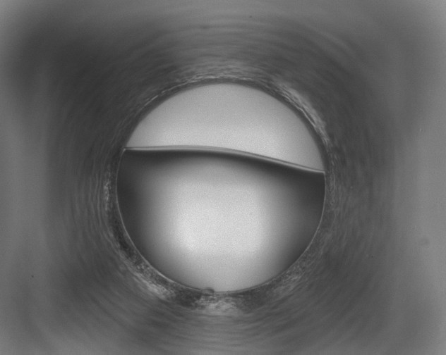X0000083990113200702160741