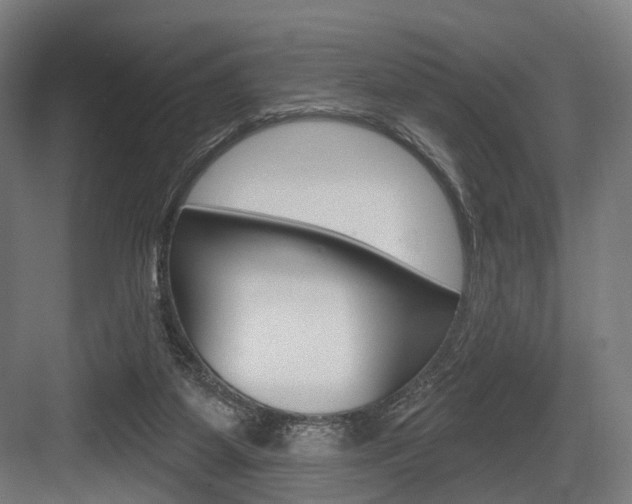 X0000083990115200702160741