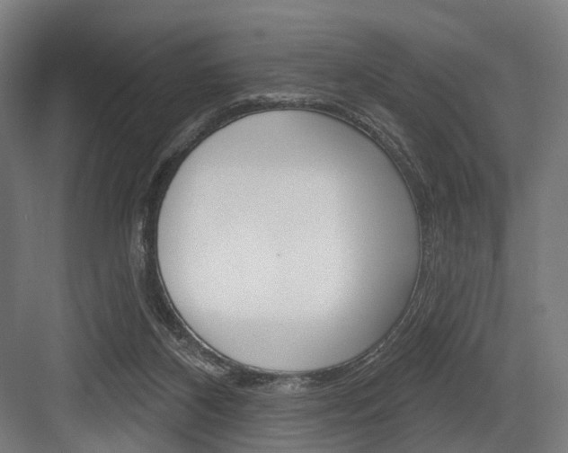 X0000083990116200702160741