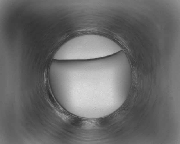 X0000083990118200702160741