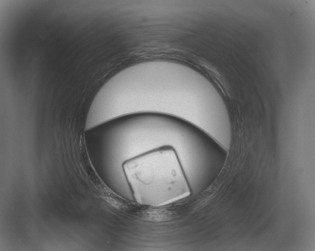 X0000083990121200702160741