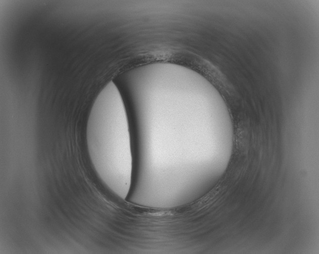 X0000083990122200702160741