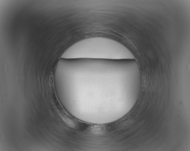 X0000083990126200702160740