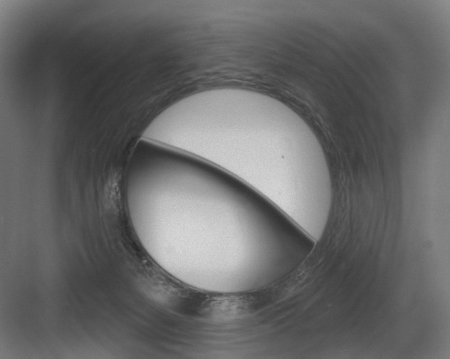 X0000083990127200702160740