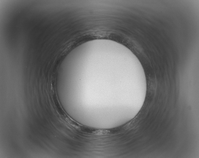 X0000083990128200702160740