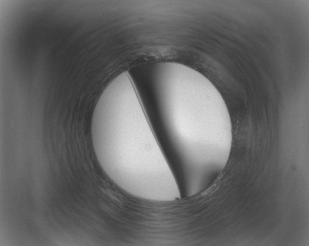 X0000083990132200702160740