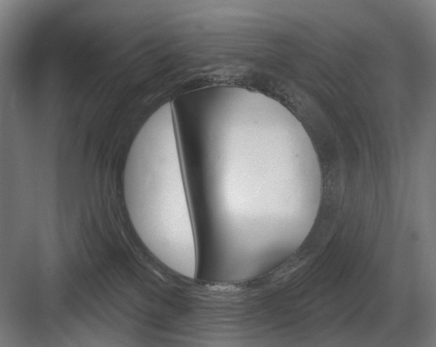 X0000083990137200702160740