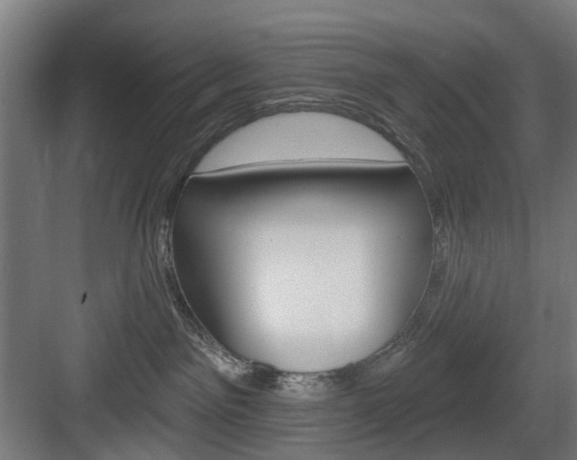 X0000083990141200702160740