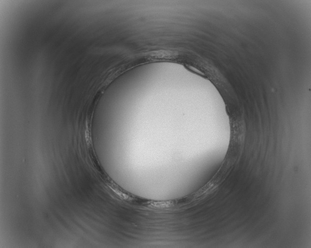 X0000083990143200702160740