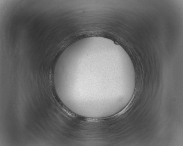 X0000083990144200702160740