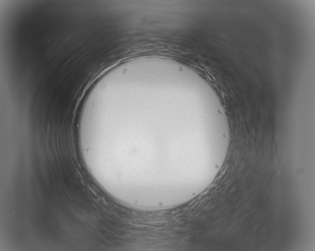 X0000083990146200702160739