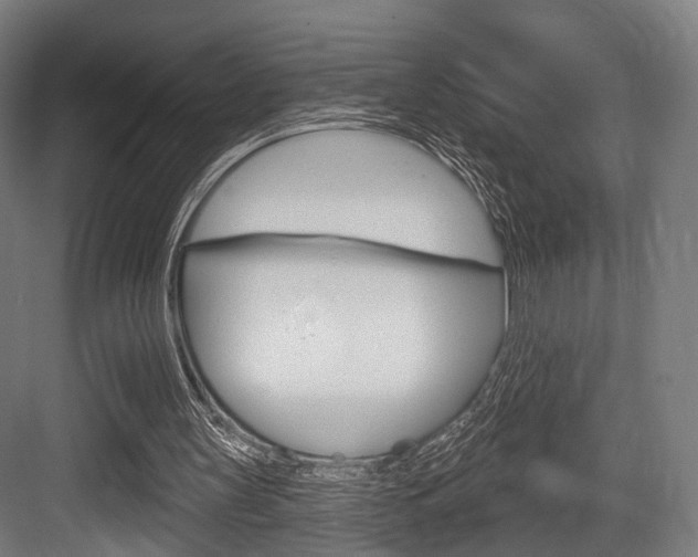 X0000083990147200702160739