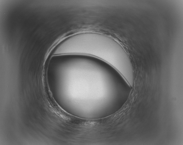 X0000083990152200702160739