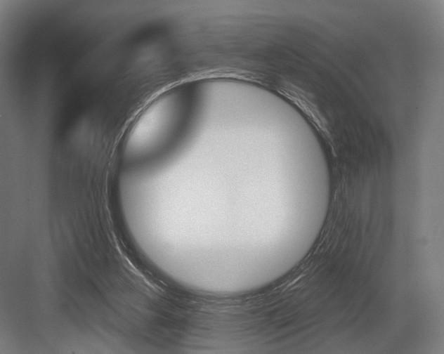 X0000083990156200702160740