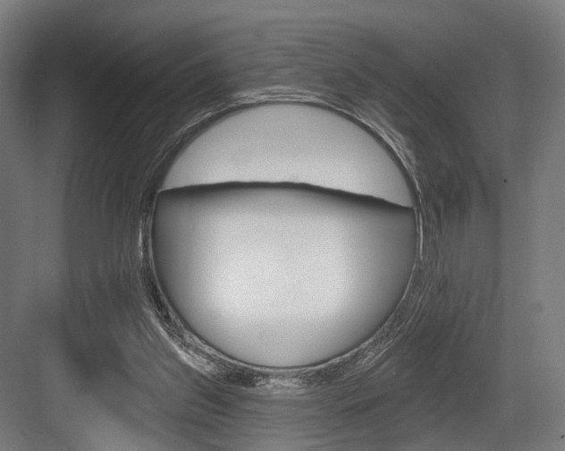 X0000083990157200702160740