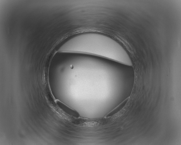 X0000083990158200702160740