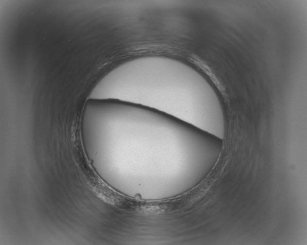 X0000083990161200702160740