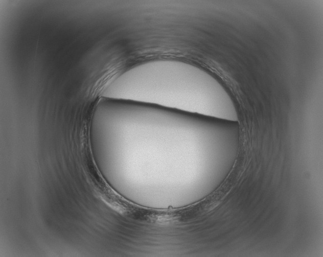 X0000083990165200702160740