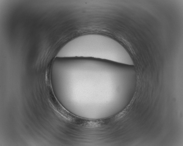 X0000083990166200702160740