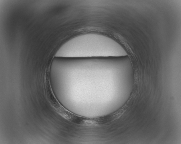 X0000083990167200702160740