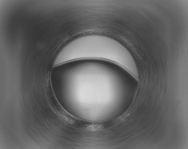 X0000083990168200702160740