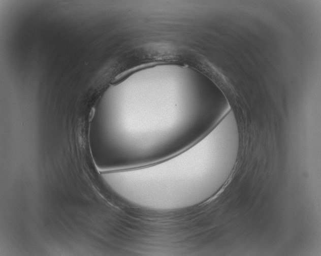 X0000083990170200702160740
