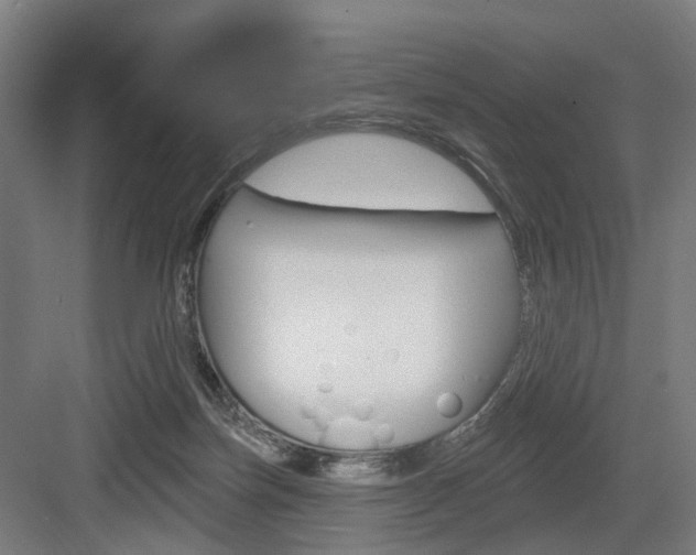 X0000083990171200702160740