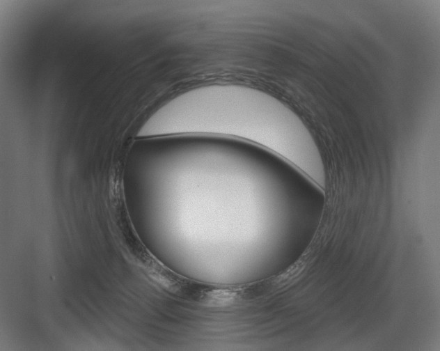 X0000083990176200702160740