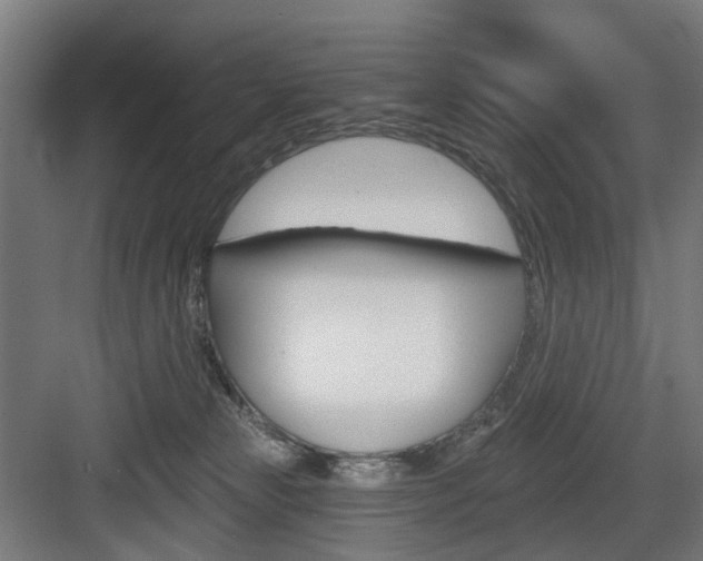 X0000083990181200702160740