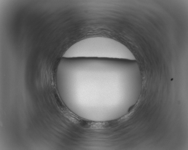 X0000083990182200702160740